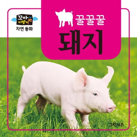 북채널 - 유아학습그림책
