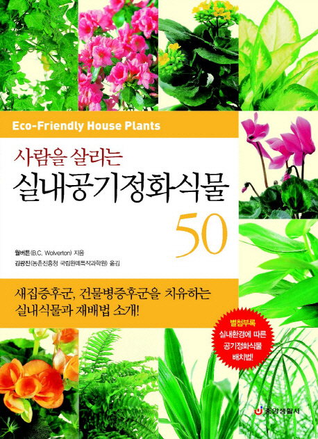 실내공기정화식물50(사람을살리는)