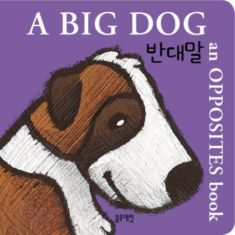 북채널 - 블루래빗