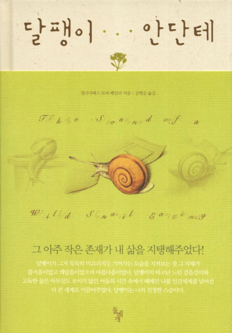 달팽이 안단테- 북채널