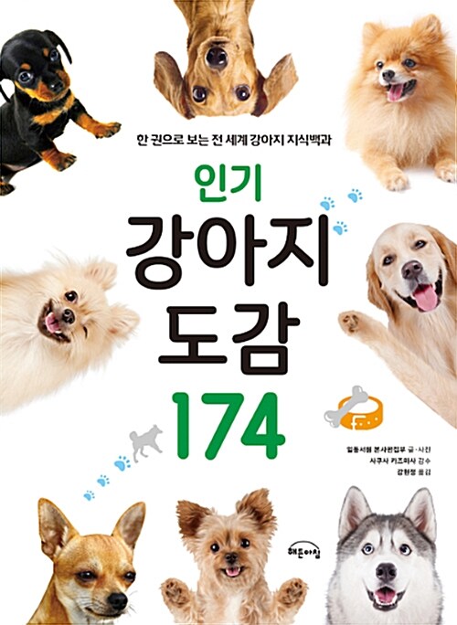 인기 강아지 도감 174