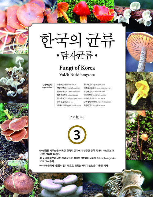 한국의 균류 3 담자균류