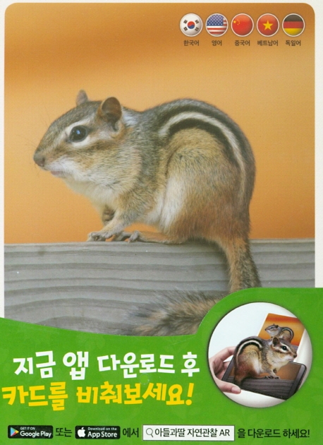 자연관찰 AR 카드 2
