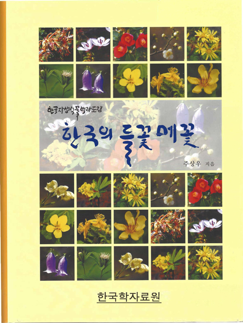 한국의 들꽃 메꽃