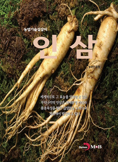 인삼- 북채널