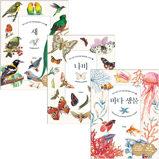 북채널 - 디자인/색채