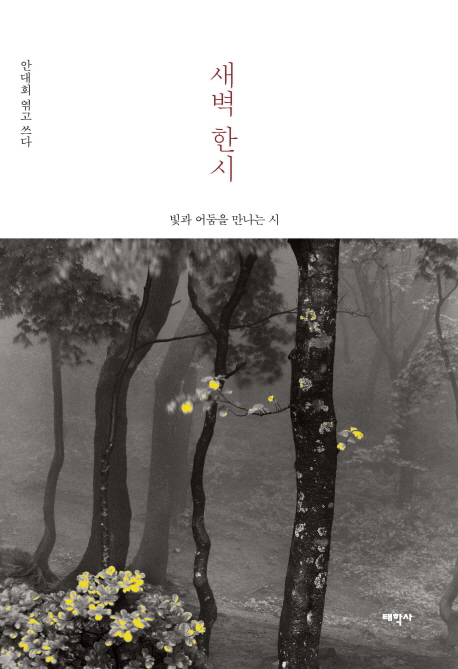 ���� �ѽ�