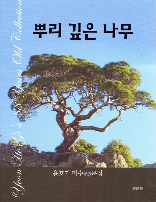 뿌리 깊은 나무- 북채널