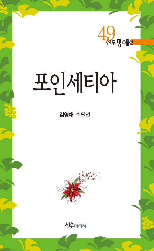 포인세티아- 북채널