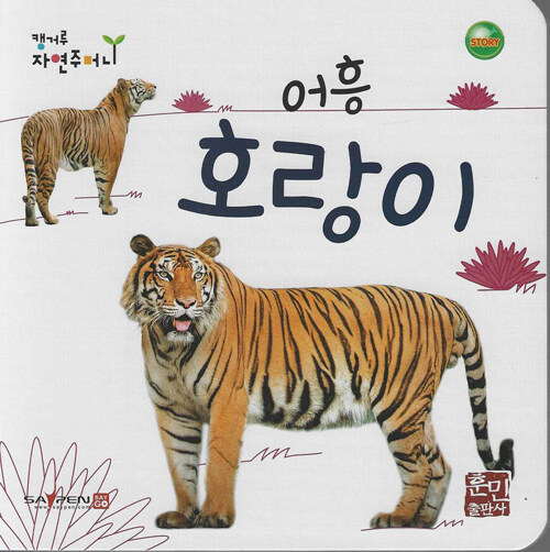 어흥 호랑이 (세이펜지원, 세이펜 미포함)- 북채널