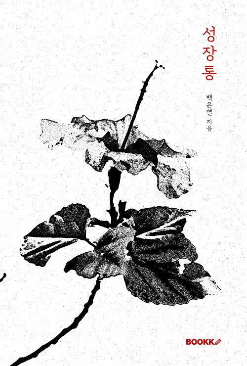  (Ŀ )