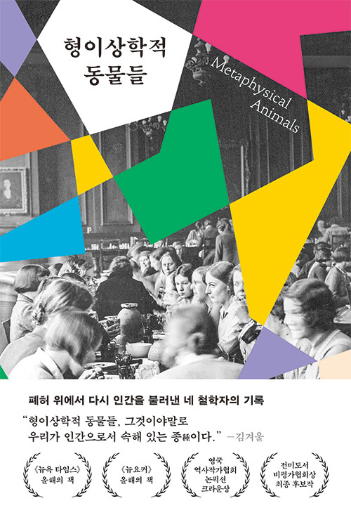 ���̻����� ������