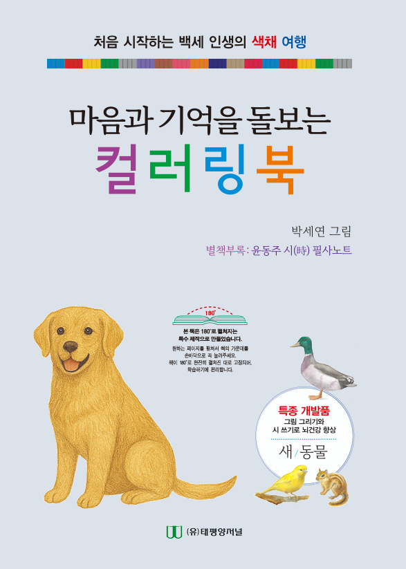 북채널 - 디자인/색채