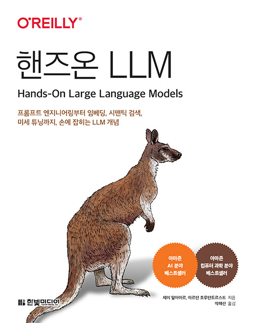  LLM